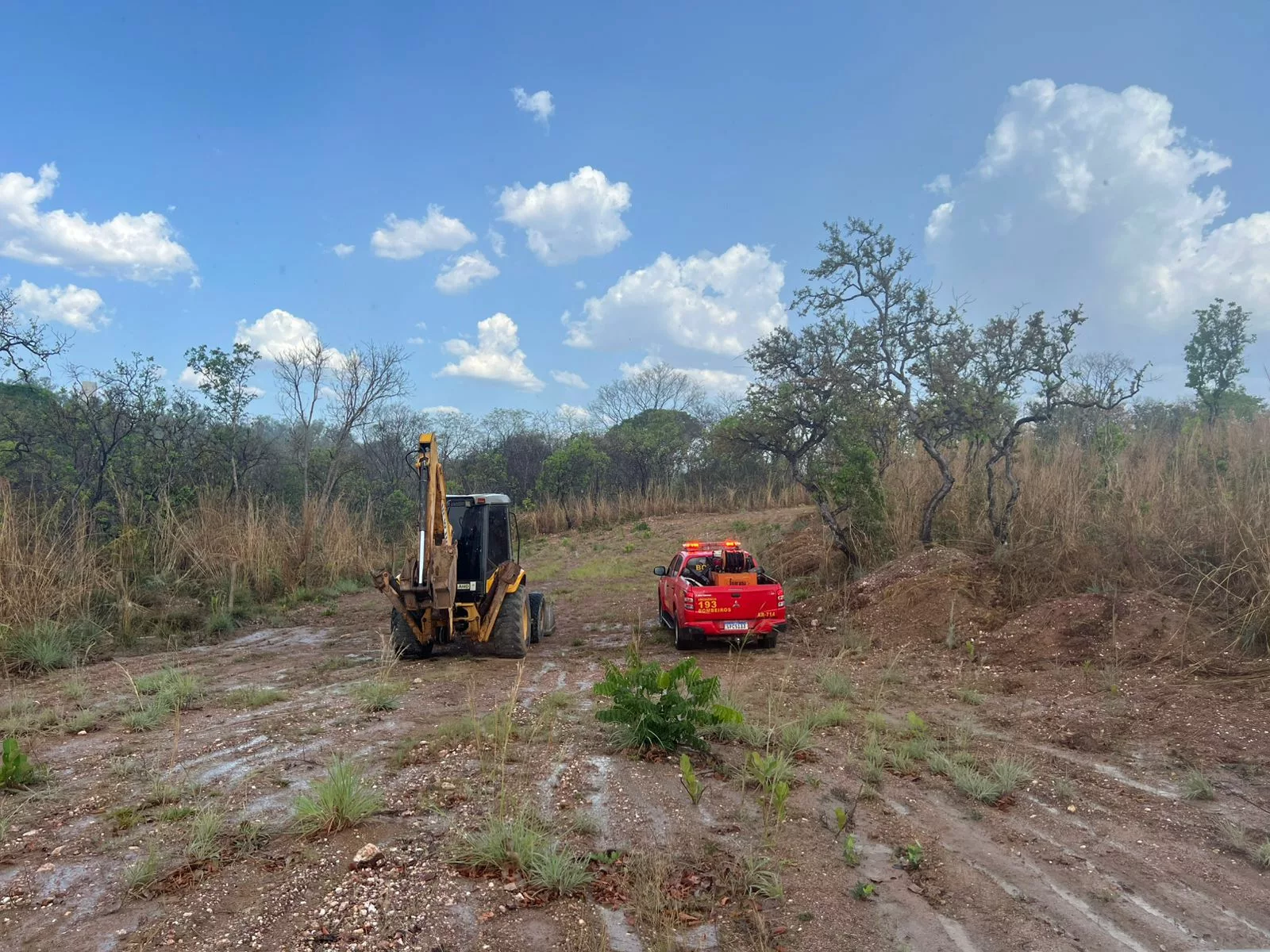 Prefeitura atua contra fogo próximo ao Parque Mãe Bonifácia