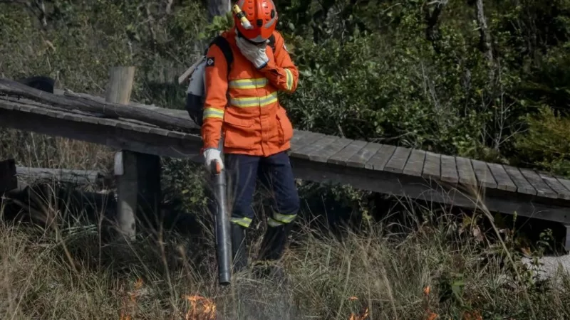 Ministério decreta situação de emergência em cidade de MT devido a incêndios florestais