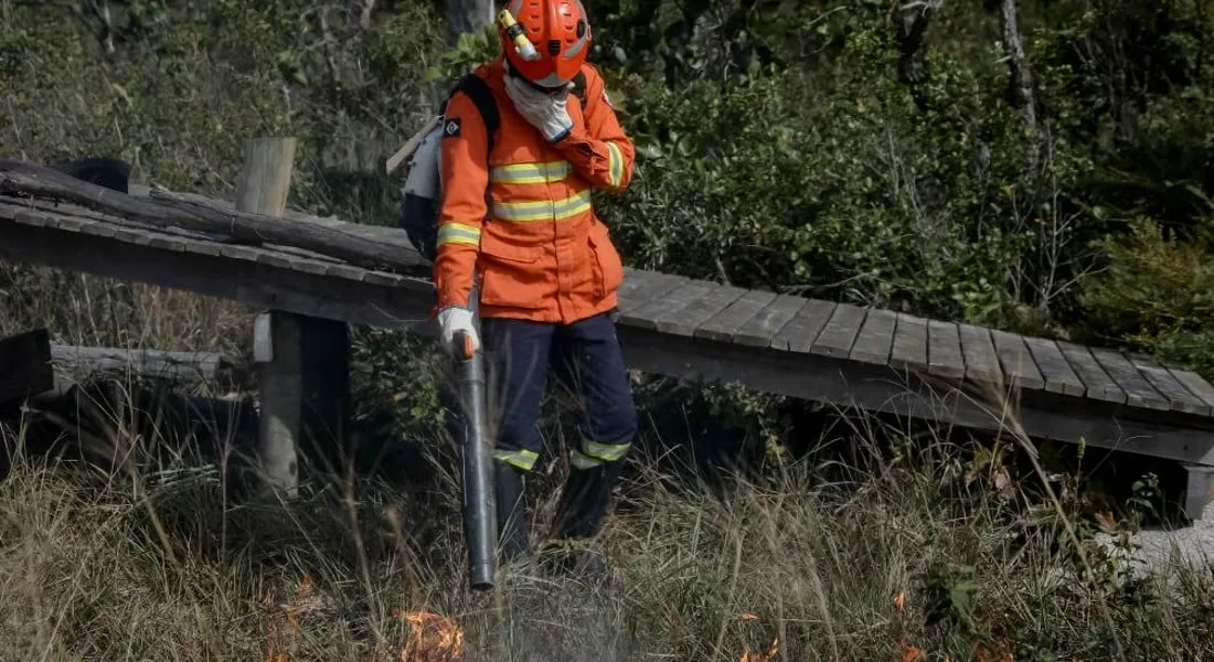 Ministério decreta situação de emergência em cidade de MT devido a incêndios florestais