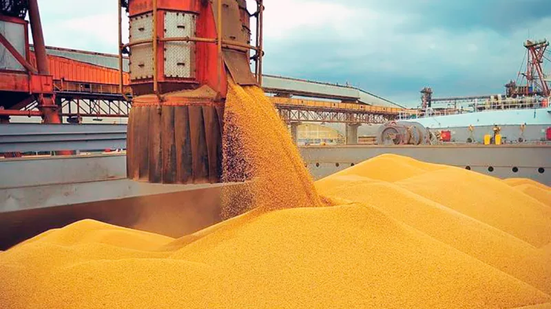 Indústrias de Nova Mutum acumulam R$ 4 bilhões em exportações e China é principal cliente