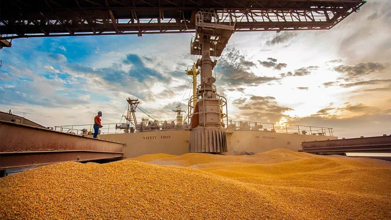 Indústrias em Sinop atingem R$ 7,5 bilhões em produtos exportados