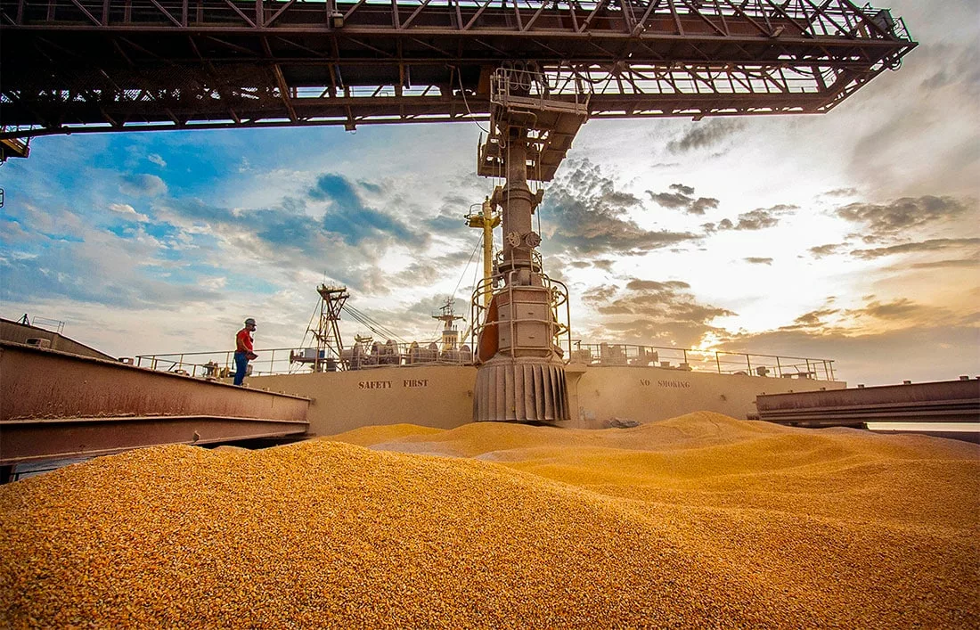 Indústrias em Sinop atingem R$ 7,5 bilhões em produtos exportados