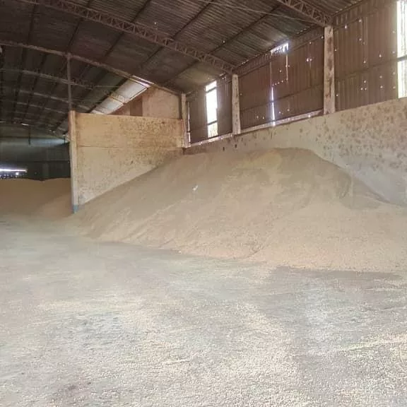 Força Tática recupera 116 toneladas de grãos e prende homem por furto e receptação