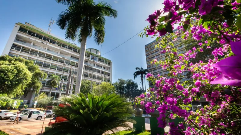 Prefeitura de Cuiabá paga R$ 290 mil a órfãos do feminicídio, amplia acolhimento e fortalece a rede de proteção