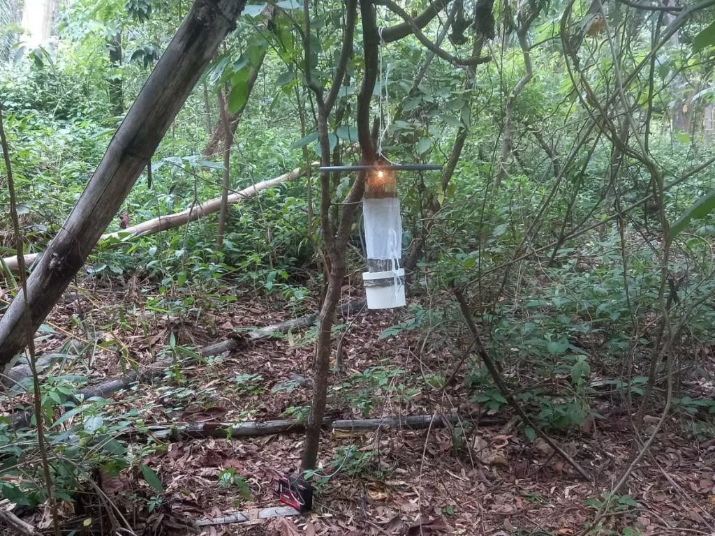 SES realiza treinamento inédito para combater arboviroses