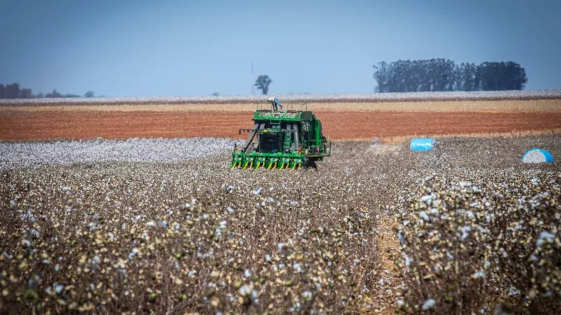 Governo de MT prorroga diferimento do ICMS para fertilizantes e mantém benefício até dezembro de 2026