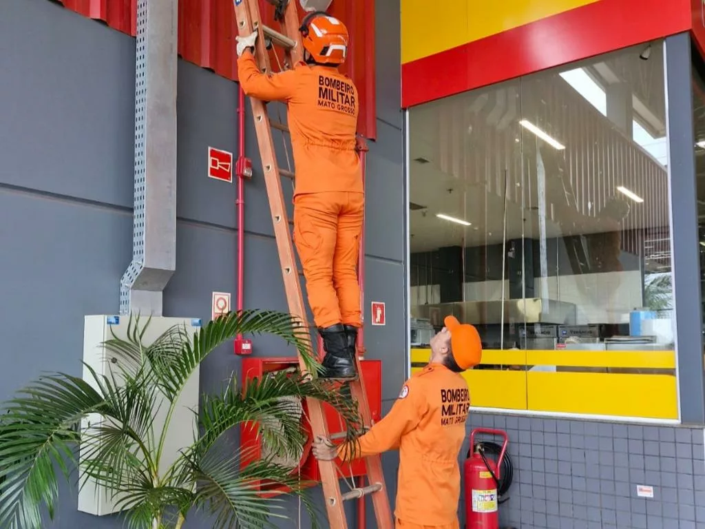 Bombeiros resgatam jupará que estava em estrutura de supermercado em Confresa