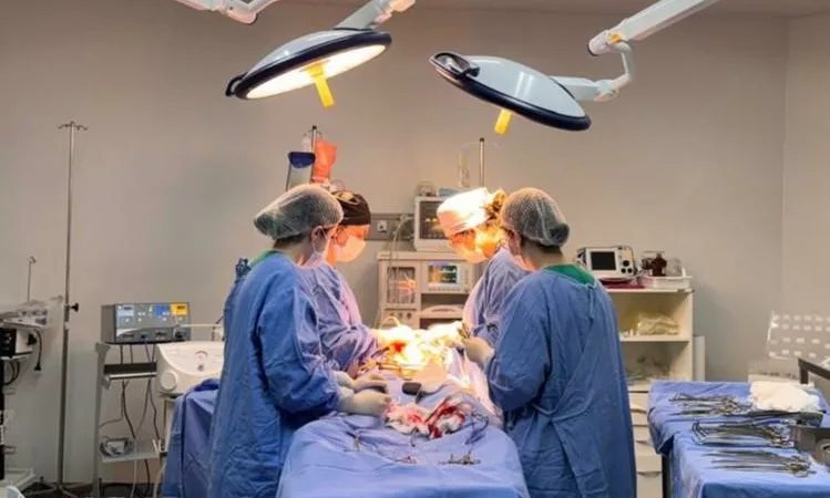 Mato Grosso amplia atendimentos e registra avanços na realização de transplantes de órgãos