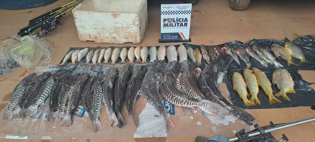Polícia Militar prende dois homens em flagrante com 48 unidades de pescado irregular