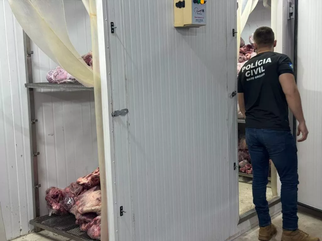 Polícia Civil identifica e conduz 11 pessoas para a delegacia por saquear carga de carne na MT-235
