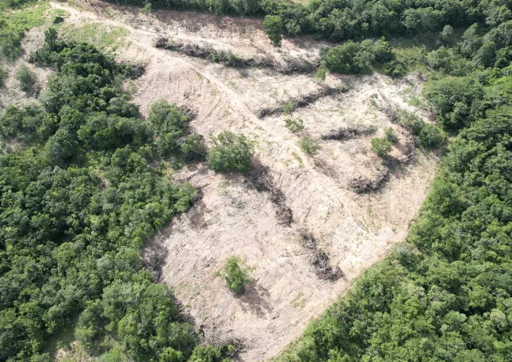 PM Ambiental flagra desmatamento irregular em área de proteção em Mato Grosso
